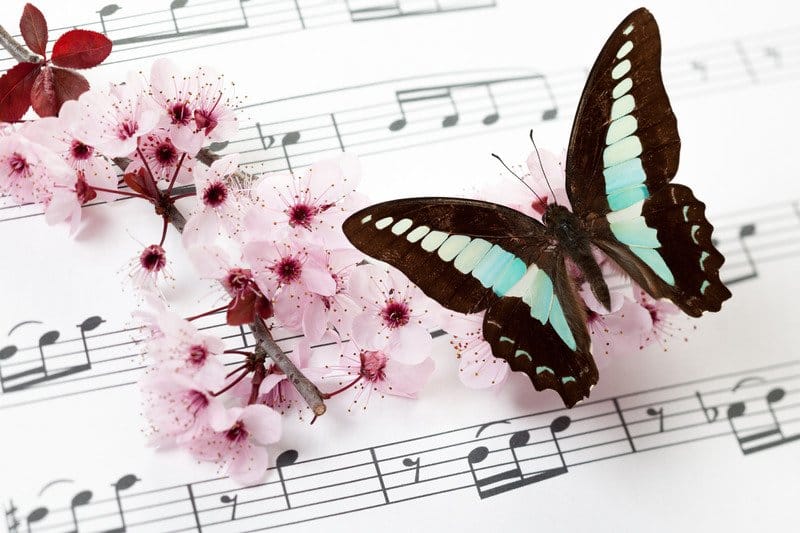 a butterfly and pink flowers on a music sheet. This image shows how music can heal us through appreciating beautiful things in life.